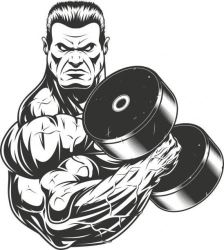 Fitness Trainer / Body Building