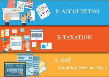 Graduation Based Accounting Course in Delhi, GST and Custom Training in Delhi, 100% Job Guarantee Course by 