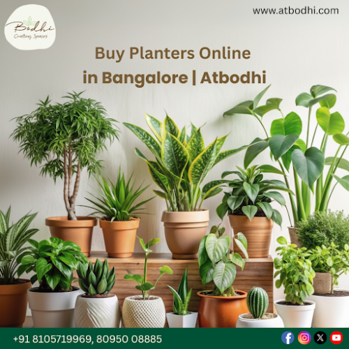 Premium Planters for Gifting in Bangalore – Atbodhi