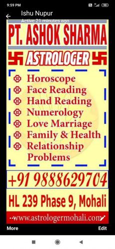 Love problems solve best astrologer ashok sharma +919888629704